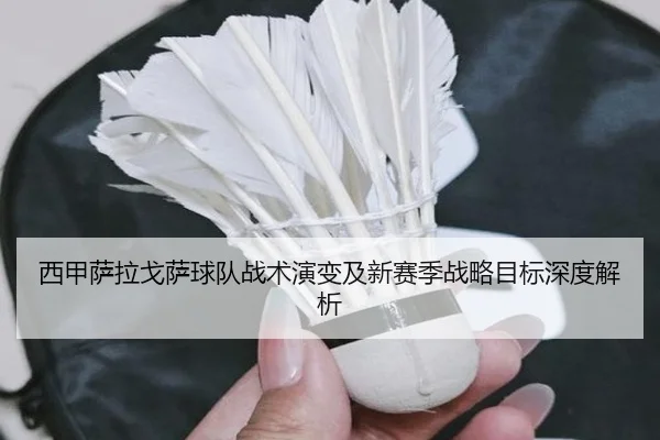 西甲萨拉戈萨球队战术演变及新赛季战略目标深度解析